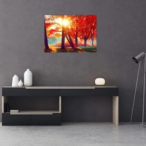 Obraz- Jesienny krajobraz (70x50 cm)