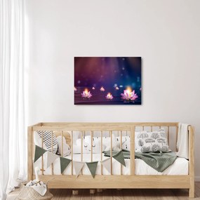 Obraz - Magiczne lilie wodne (70x50 cm)