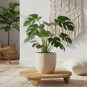 Drewniana podstawka pod kwiaty CON, drewno mango