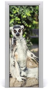 Naklejka samoprzylepna na drzwi Lemur