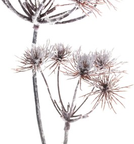Gałązka Thistle white 100cm