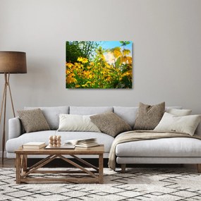 Obraz na szkle żółtych kwiatów (70x50 cm)