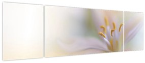 Obraz - Delikatny kwiat (170x50 cm)