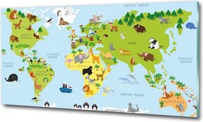 Foto obraz szkło hartowane Mapa zwierzęta