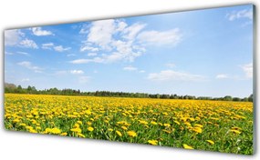 Panel Szklany do Kuchni Słoneczna Łąka Mniszków