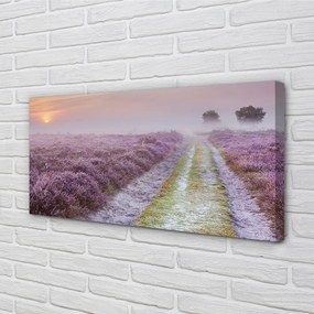 Obraz na płótnie Pole Wrzosów