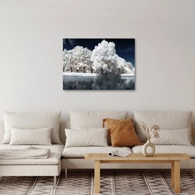 Obraz - Śnieżnobiałe drzewa (70x50 cm)