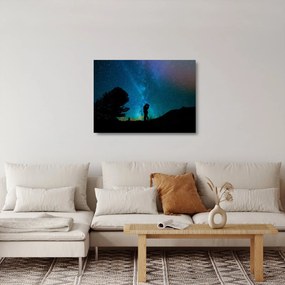 Obraz na szkle - Spotkanie pod gwiazdami (70x50 cm)