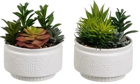 Sztuczne rośliny zestaw 2 szt. (wysokość 19 cm) Cactus – Casa Selección