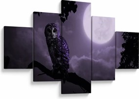 Obraz - Nocna sowa, fioletowy (125x70 cm)