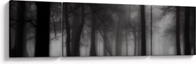 Obraz - Las we mgle (170x50 cm)