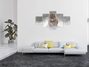 Obraz tygrysa biegnącego po śniegu (125x70 cm)