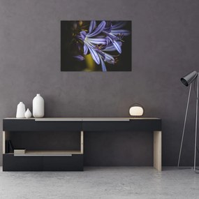 Obraz - Lilia (70x50 cm)