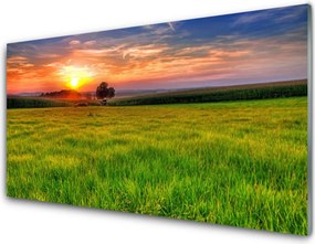 Szkło Ozdobne do Kuchni Słoneczna Polana o Poranku