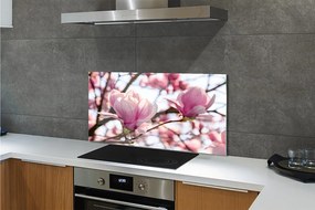 Panel nad Blat Kuchenny Magnolie w Sercu Parku