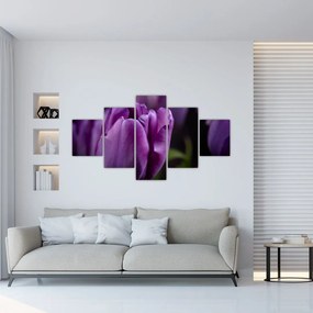 Obraz kwiatów tulipanów (125x70 cm)