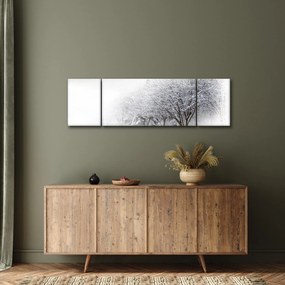 Obraz - Zimowa aleja (170x50 cm)