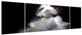 Obraz kwiatu lotosu (170x50 cm)