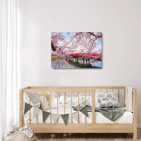 Obraz na szkle - Hirosaki, Japonia (70x50 cm)