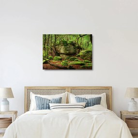 Obraz na szkle - magiczny las (70x50 cm)