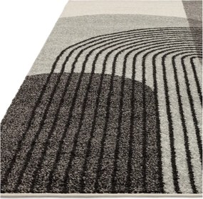 Szary dywan 290x200 cm Muse - Asiatic Carpets