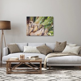 Obraz na szkle wiewiórki na drzewie (70x50 cm)
