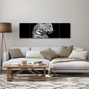 Obraz - Lampart (170x50 cm)