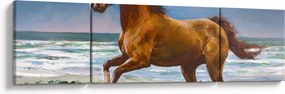 Obraz konia na plaży (170x50 cm)