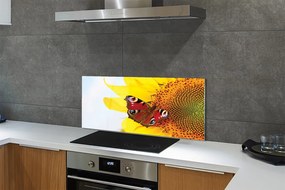 Panel Szklany Motyl na tle Słonecznika