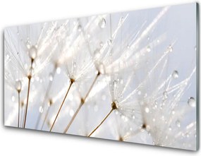 Szkło do Kuchni na Ścianę Puszysty Mniszek Lekarski