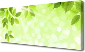 Obraz canvas Organiczny Motyw Liści