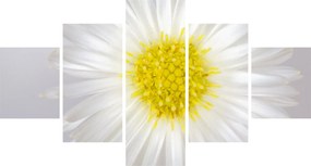 Obraz - Margarita (125x70 cm)