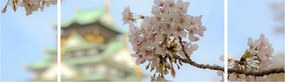 Obraz - Sakura (170x50 cm)