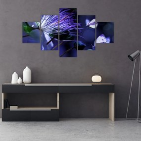 Obraz - Tropikalny kwiat (125x70 cm)