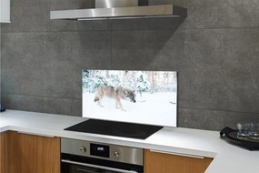 Panel Szklany Wilk zima las