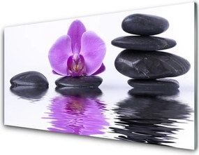 Panel Kuchenny Kwiatowe Odbicie W Lustrze Wody