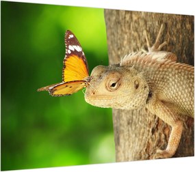 Obraz - Jaszczurka (70x50 cm)