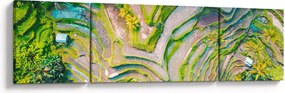 Obraz pól ryżowych z lotu ptaka (170x50 cm)