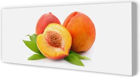 Zdjęcie na płótnie Złocista Słodka Morela