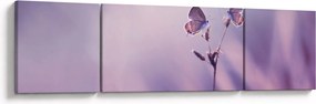 Obraz - Fioletowe motyle (170x50 cm)