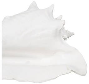 Figurka z żywicy polimerowej (wysokość 13 cm) Seashell – Ixia