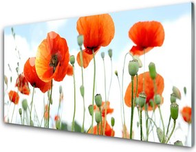 Panel nad blat kuchenny Dzika Łąka Pełna Maków