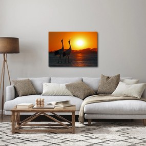 Obraz ptaków o zachodzie słońca (70x50 cm)