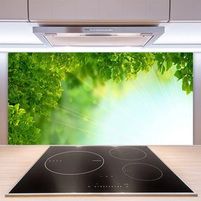 Panel Szklany Botaniczny Detal Liści