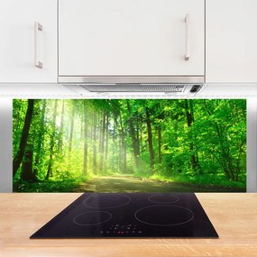 Szkło do Kuchni na Ścianę Ścieżka W Głębi Lasu