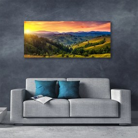 Obraz canvas Egzotyczny Kwiat Plumerii