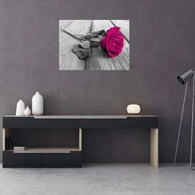 Obraz - Różowa róża (70x50 cm)