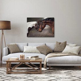 Obraz - Zakochane konie (70x50 cm)