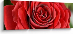 Obraz kwiatu róży (z zegarem) (90x30 cm)