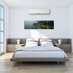 Obraz - Klif w oceanie (170x50 cm)
